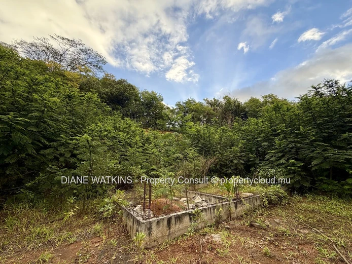 Agricultural Land for Sale in Chamarel | 10,276 m² Bordering Ebony Forest