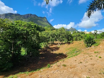 Land