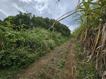 Agricultural Land