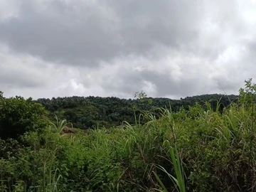 Terrain Agricole