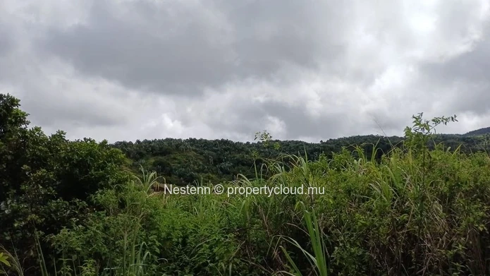 Terrain agricole exceptionnel de 4221 m² à Chamouny