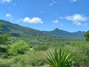Residential Land