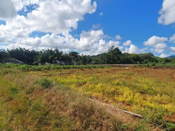 Terrain Agricole