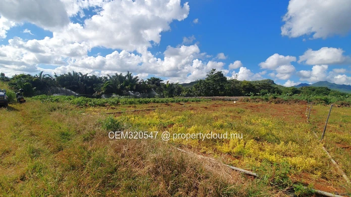 Terrain Agricole à Vendre – Route Ilot Branch, Rivière des Calebasses, Pamplemousses