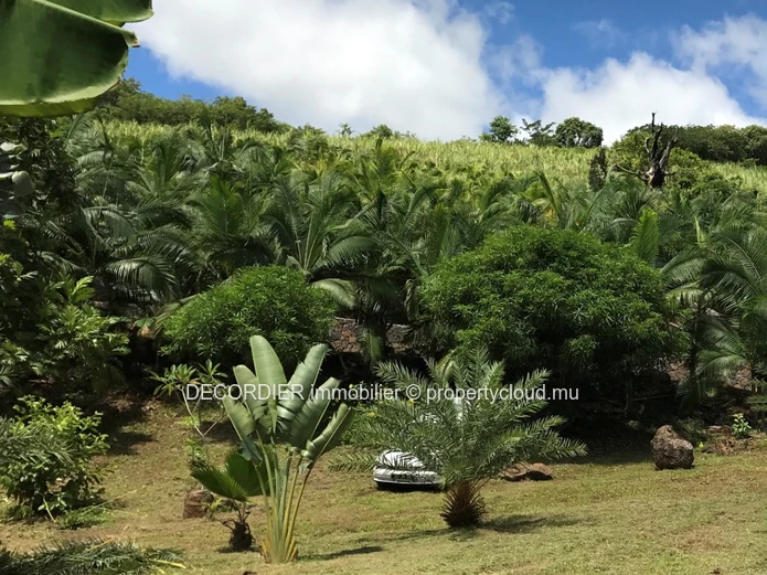 Agricultural land with sea and mountain views (Sole Mandate)