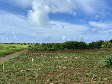 Agricultural Land
