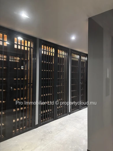 Discover this brand new spacious apartment located in one of the most sought-after morcellements of Belle Vue O Petit...