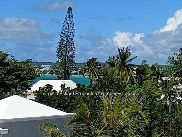 Villa For Rent