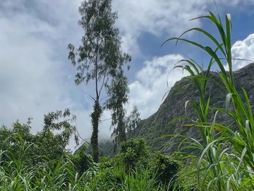Terrain