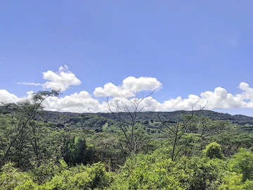 Land