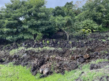 Terrain Agricole