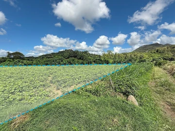 Land