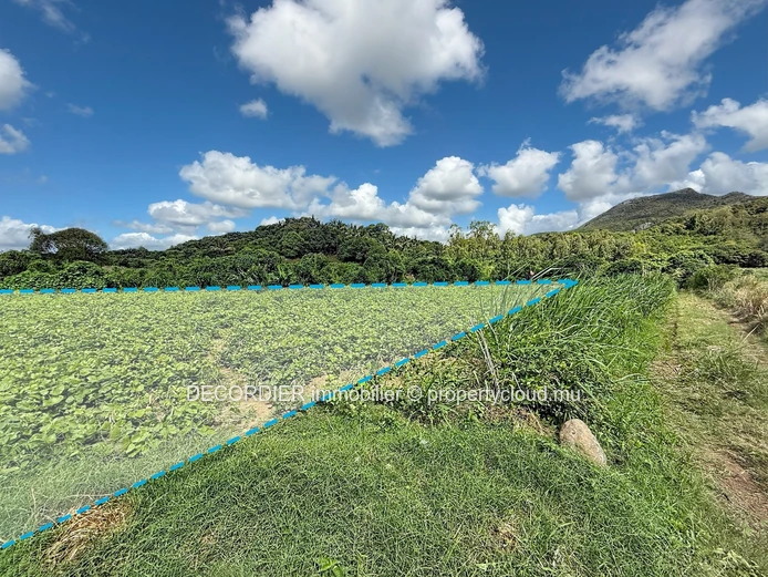 Rare sur le marché – Terrain agricole spacieux