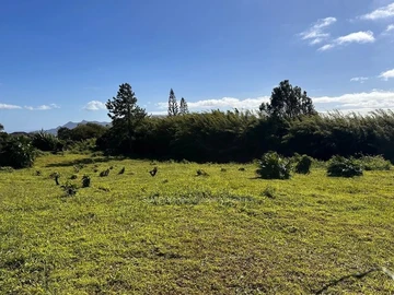 Residential Land