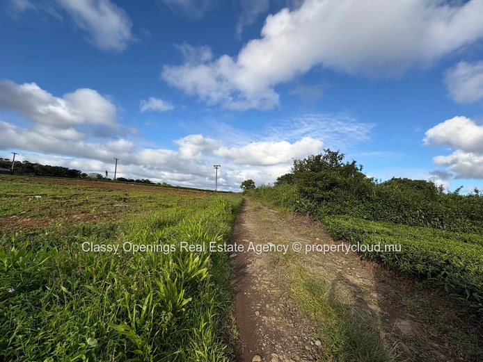 12,268 m² Cultivable Land with Mountain View & Greenhouses