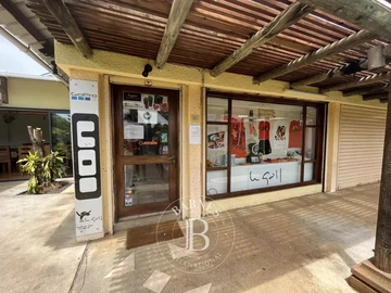 Commercial Property