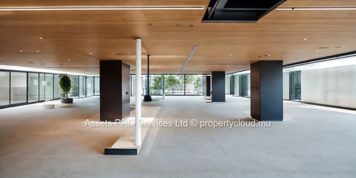 Full-Floor Office Space for Lease in NG Tower, Ebene