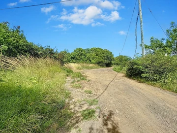 Terrain