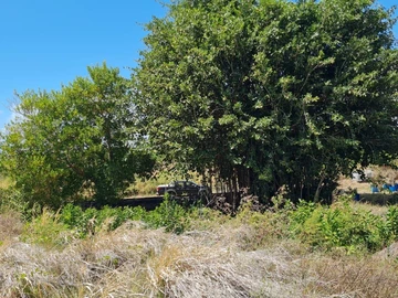 Terrain Agricole