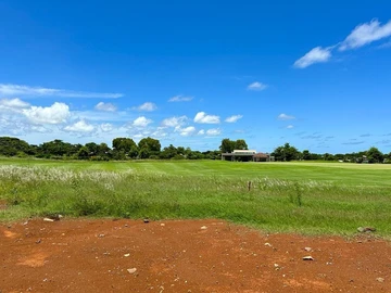 Terrain
