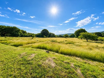 Residential Land