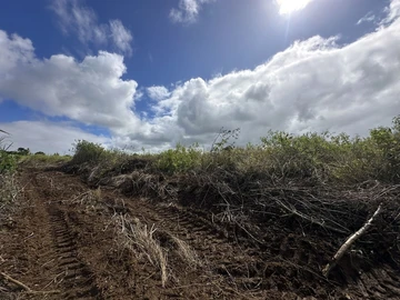 Agricultural Land