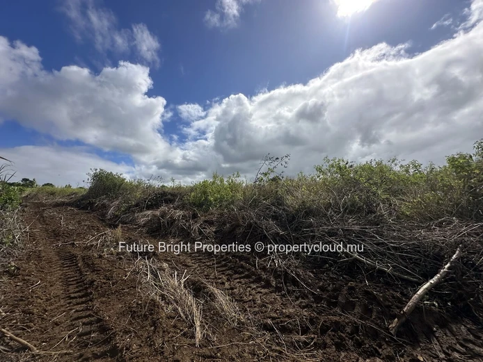 206 perches Agricultural Land for Sale in Providence Quartier Militaire.
