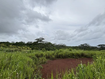 Agricultural Land