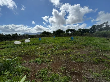 25 perches agricultural land in industrial zone with utilities
