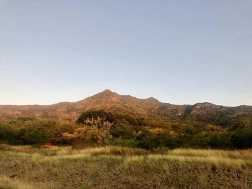 Residential Land