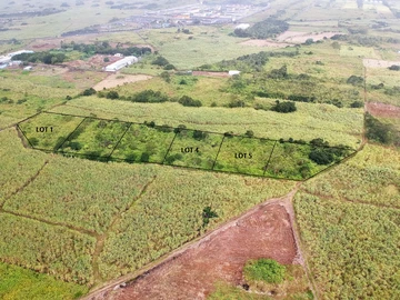 Terrain Agricole