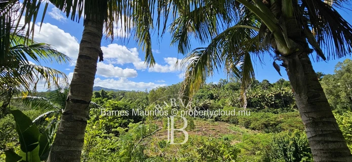 2 Bras - Terrain Agricole - 31 Arpents