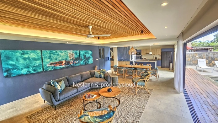 Captivating Elegance : Explore this modern villa