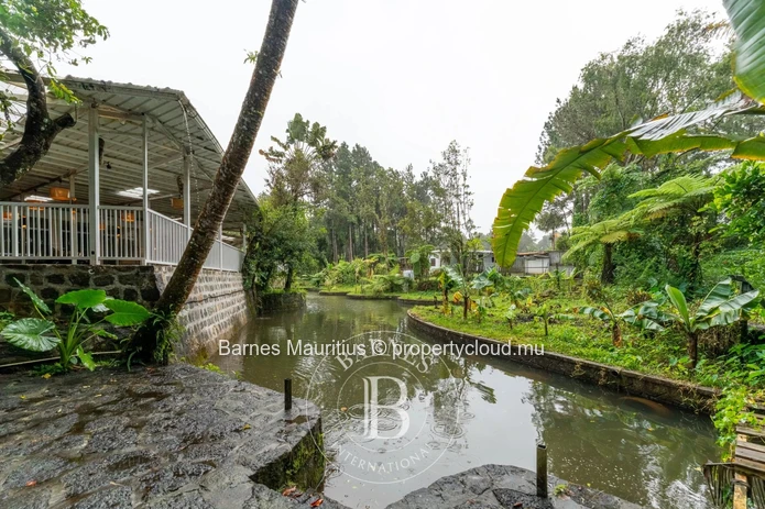 MARE LONGUE - Charmants chalets en bois nichés au cœur de la nature - 4220m²
