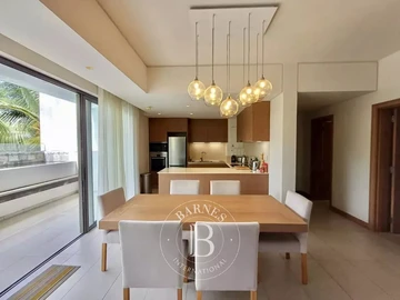 3 Bedroom Penthouse
