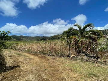 Agricultural Land