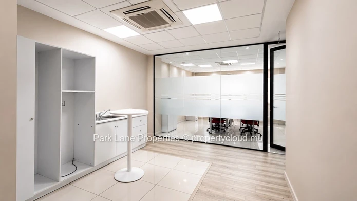 445 m² Office Space for Rent in Caudan | Multi-Unit Commercial Workspace