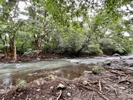 Splendid plot along the river in Cap Tamarin