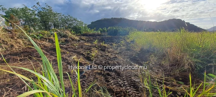Terrain Agricole En Vente À Cluny 