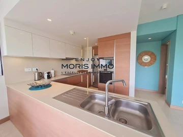 2 Bedroom Penthouse