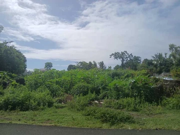 Residential Land