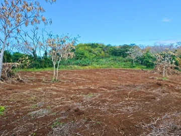 Agricultural Land