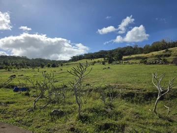 Residential Land