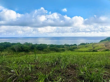 Agricultural Land For Sale In St Martin