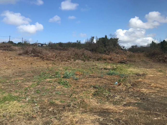 Terrain résidentiel de 3 517 m² à vendre à Grand Baie