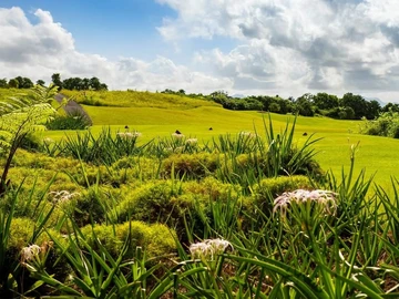 Residential Land