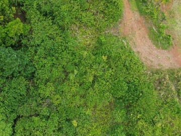 Residential Land