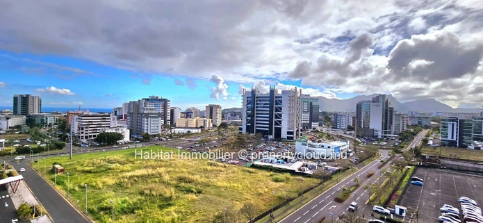 Commercial land of 2,921 m² (768 toises/69 perches), ideally located in the dynamic and rapidly developing Ebène 