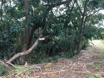 Agricultural Land