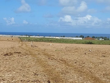 Agricultural Land